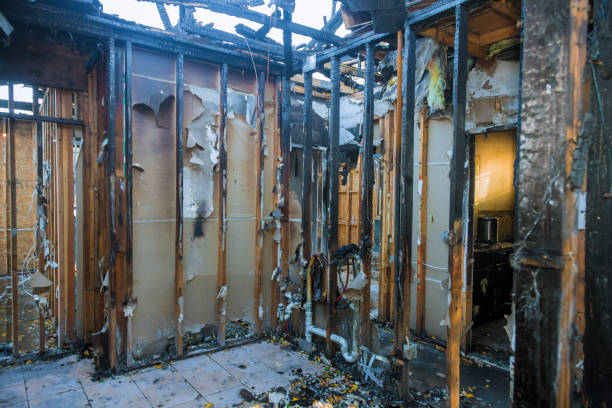 Professional Fire Damage Removal technician working in Greenbrier, AR